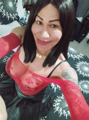 TRANS ELEGANCIA, DOMINIO Y EXPERIENCIAS EXCLUSIVAS