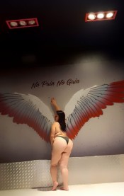 FIESTERA CON CURVAS DE INFARTO