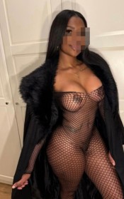NOVEDAD