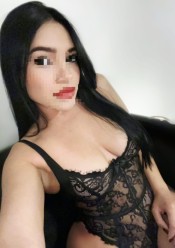 RECIéN LLEGADA LISTA A ESTRENAR