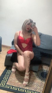 TRANS RECIÉN LLEGADA FIESTERA