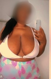 BELLA CATALANA LEXIA