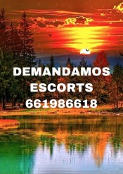 TRABAJA SOLO POR EL DíA . ALTOS INGRESOS
