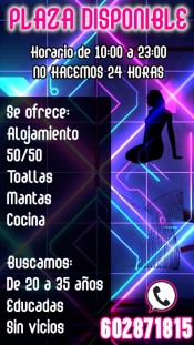 BRENDA NOVEDAD EN VILANOVA I LA GELTRU