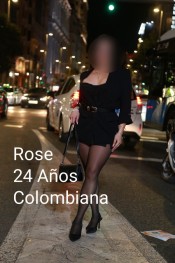 ROSE ENCANTO ALTINO RECIEN LLEGADA
