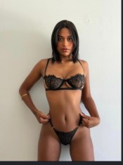 NOVEDAD