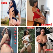 PERRITAS LATINAS
