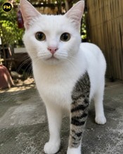 MABEL CALIENTE CHOCHO MOJADITA }