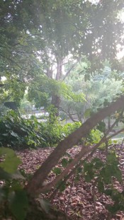MASAJES RELAJANTES Y EROTICOS