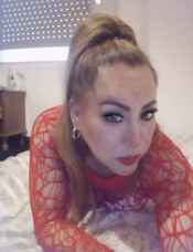 TRANS  FIESTERA EN CAPTAL