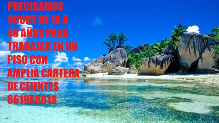 QUIERES GANAR 300€ AL DIA | PLAZA LIBRE