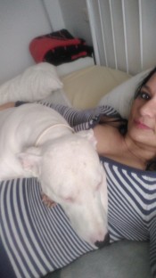 CHICA EN PINO MONTANO