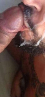 TRANS GUAPA CANERA LECHERA A TOP