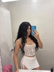 TRANS FIESTERA NUEVA EN LA ZONA
