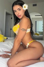 NOVEDAD DISPONIBLE 24HORAS