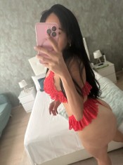 (NOVEDAD)