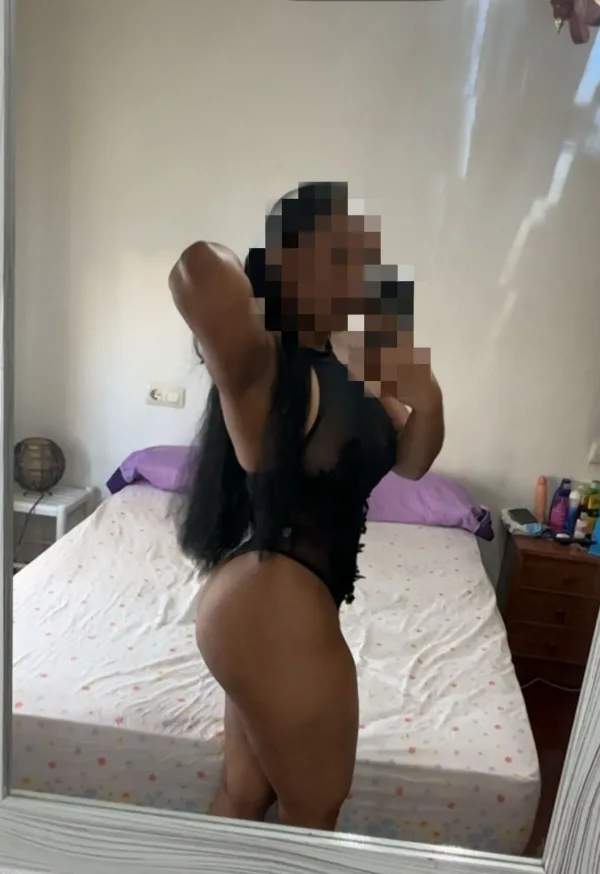 DE VUELTA EN TU CIUDAD, LA COMPAÑERA PERFECTA, FIESTERA Y GUARRA