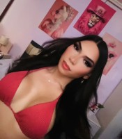 NOVEDAD  CHICA TRANS